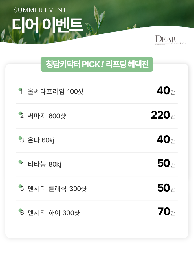 리프팅패키지