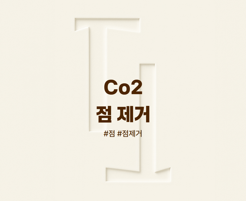 Co2(점 제거)